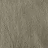9 - Tortora