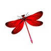 swatch image style