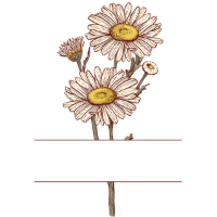 swatch image style