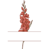 swatch image style
