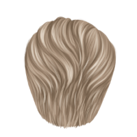 swatch image style