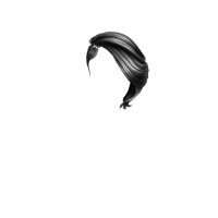swatch image style