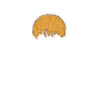 swatch image style