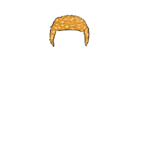 swatch image style
