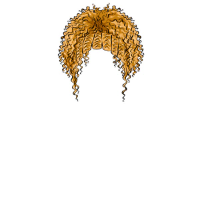 swatch image style