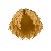 swatch image style