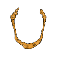 swatch image style