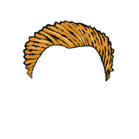swatch image style