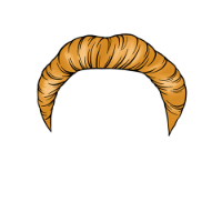 swatch image style