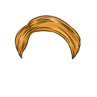swatch image style