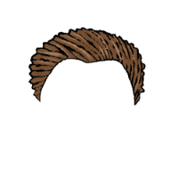 swatch image style