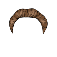 swatch image style