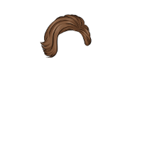 swatch image style
