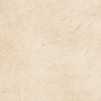 swatch image style