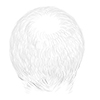 swatch image style