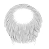 swatch image style