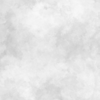 swatch image style