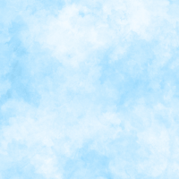 swatch image style