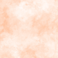 swatch image style