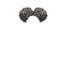 swatch image style