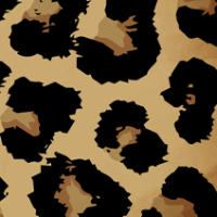 swatch image style