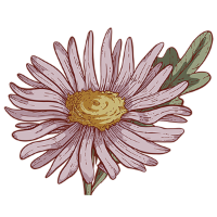 swatch image style