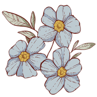 swatch image style