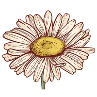 swatch image style
