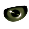 swatch image style