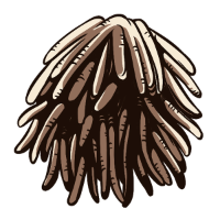 swatch image style