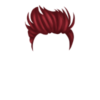 swatch image style
