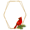 swatch image style