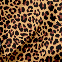 swatch image style