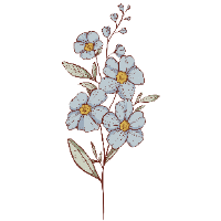 swatch image style