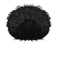 swatch image style