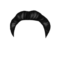 swatch image style