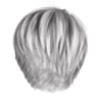 swatch image style