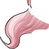 swatch image style