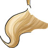 swatch image style