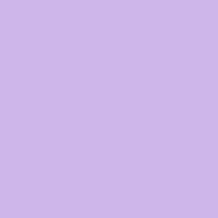 swatch image style