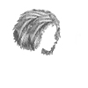 swatch image style