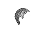 swatch image style