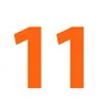   (11)