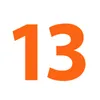   (13)