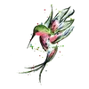 Humming Bird