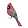 Cardinal