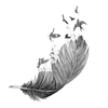 Feather