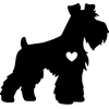 A (11) i8N6Y