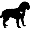 A (6) iCvv4