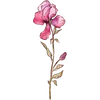 April - Sweet Pea